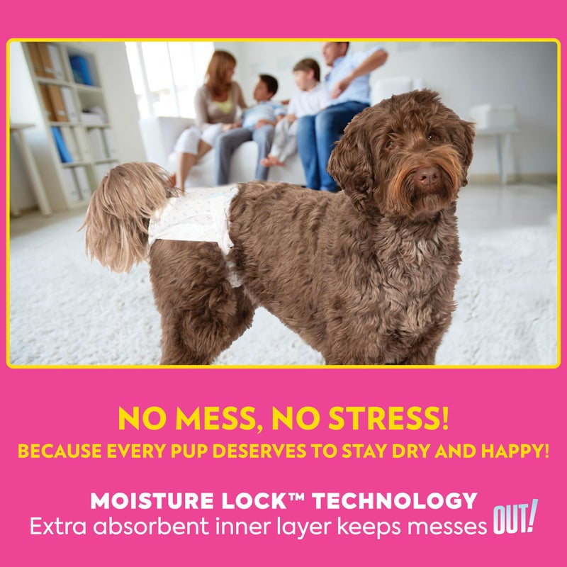 Out! PetCare Disposable Dog Diapers Female, Potty Training, Dog Diapers, Female Doggie in Heat, Puppy Training, Incontinence, Puppy Essentials 9â€-14â€ Waist (Toy, 32ct) - Image 5